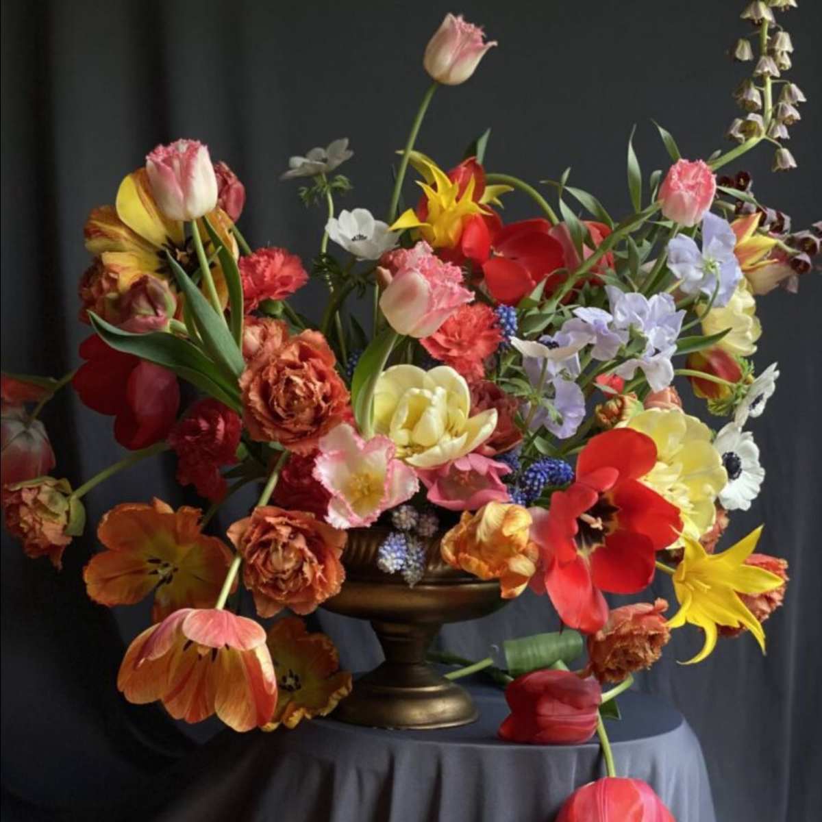 Tropical Florals Hawaii