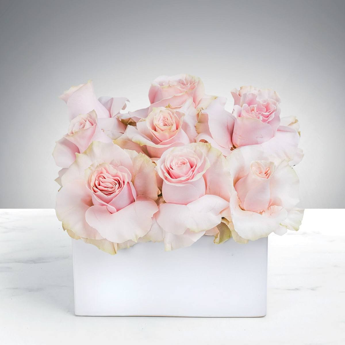 Raspberry Blooms Florist