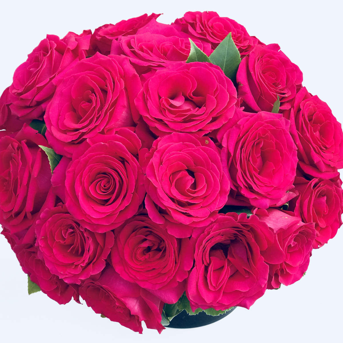 Not Just Flowers