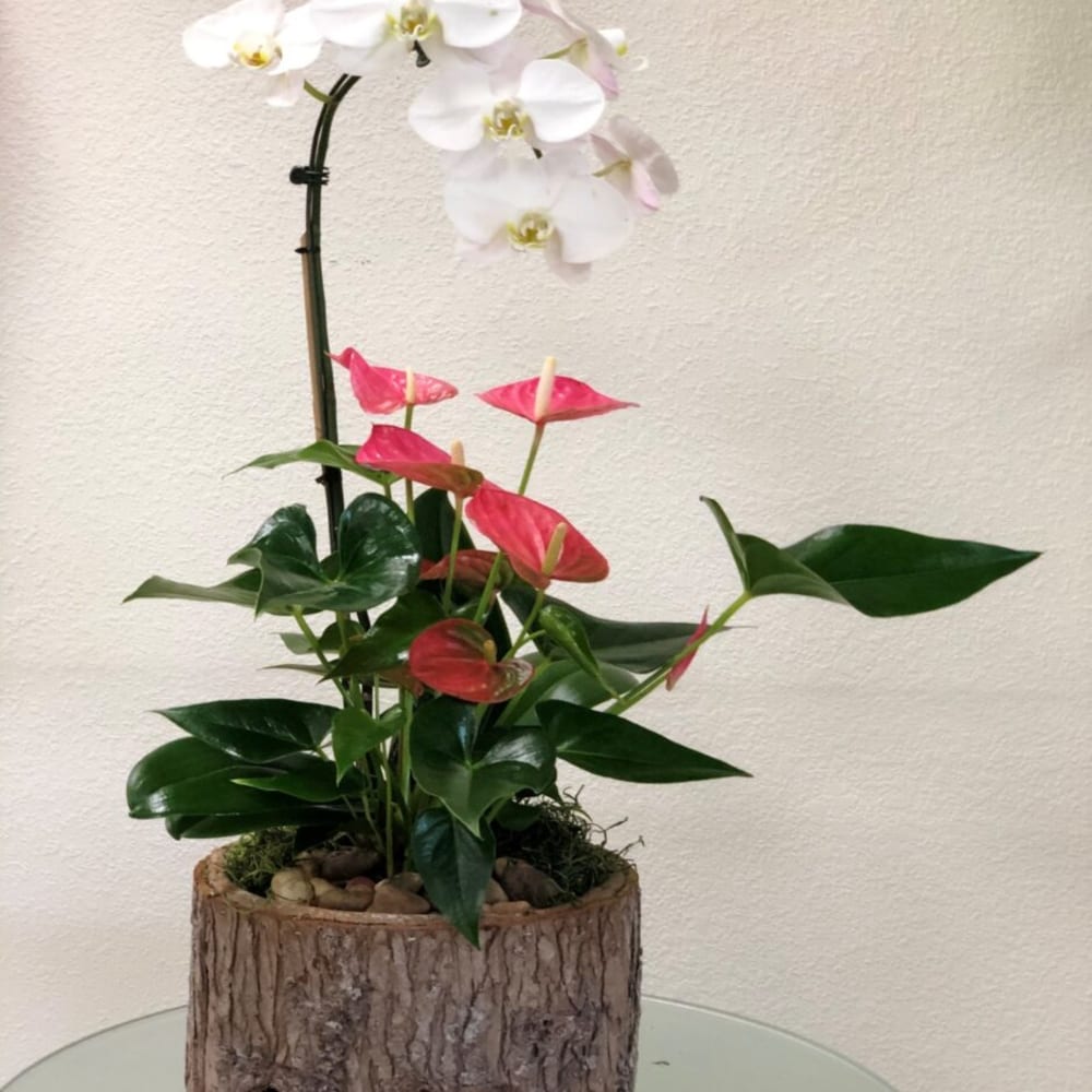 White orchid and pink anthurium arrangement in a rustic wood planter