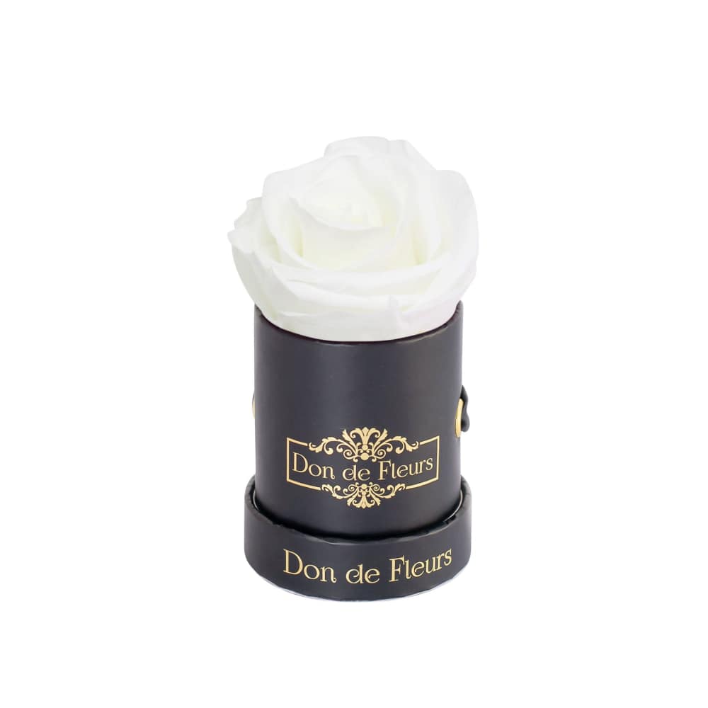 Mini Black Round Preserved Rose-White