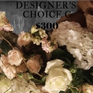 Designer's Choice $300