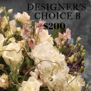 Designer's Choice $200