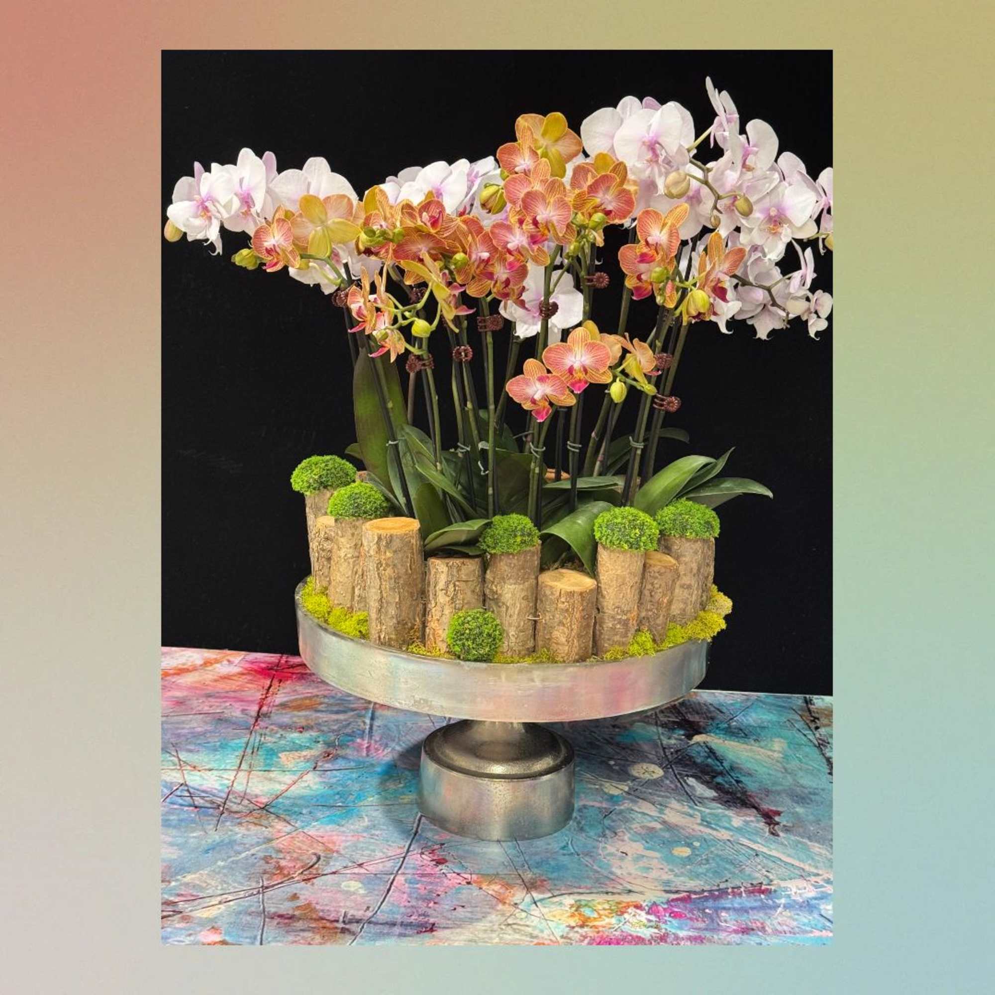 Orchid arrangement in a silver pedestal bowl with moss and wood accents