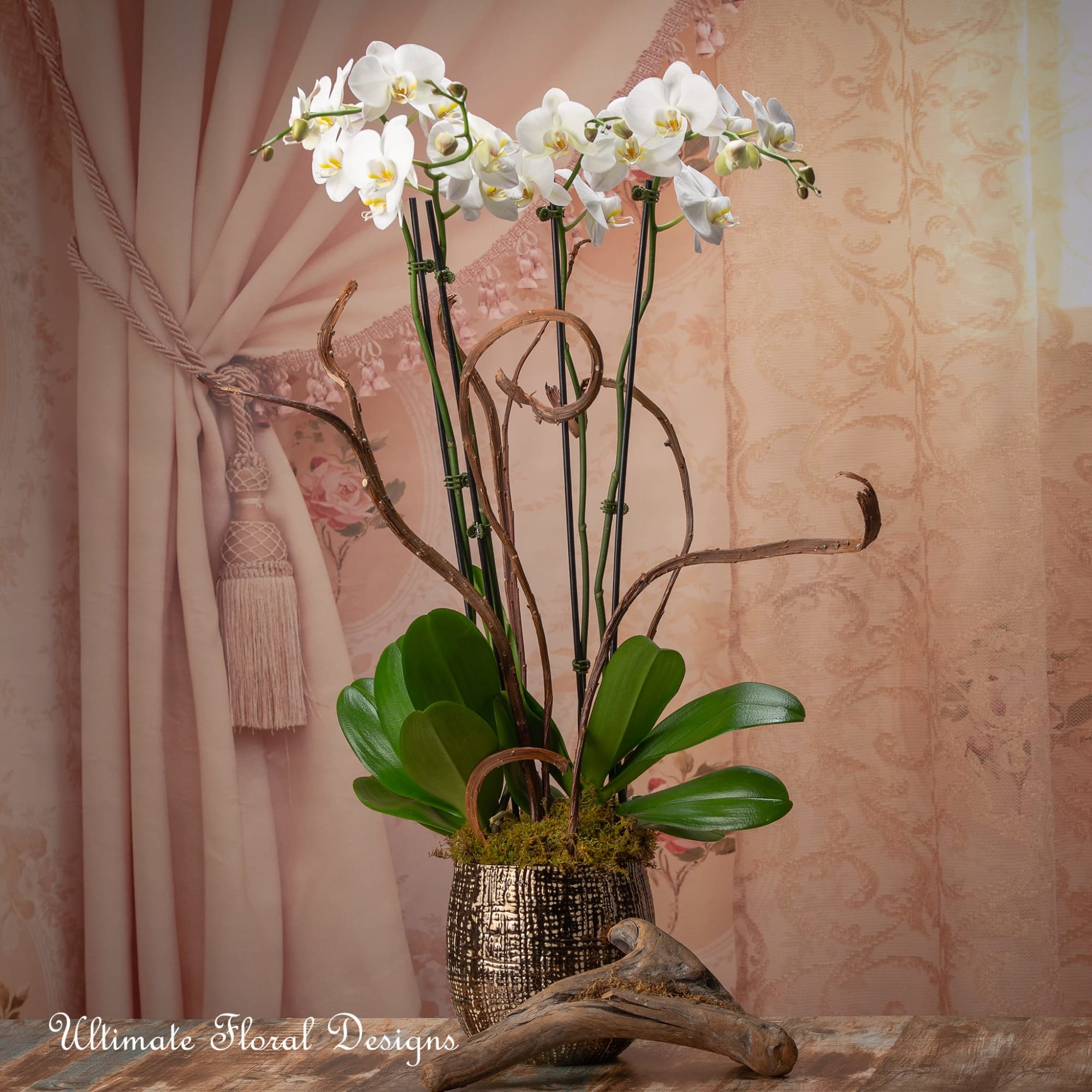 White orchids arranged in a decorative vase with curved branches.