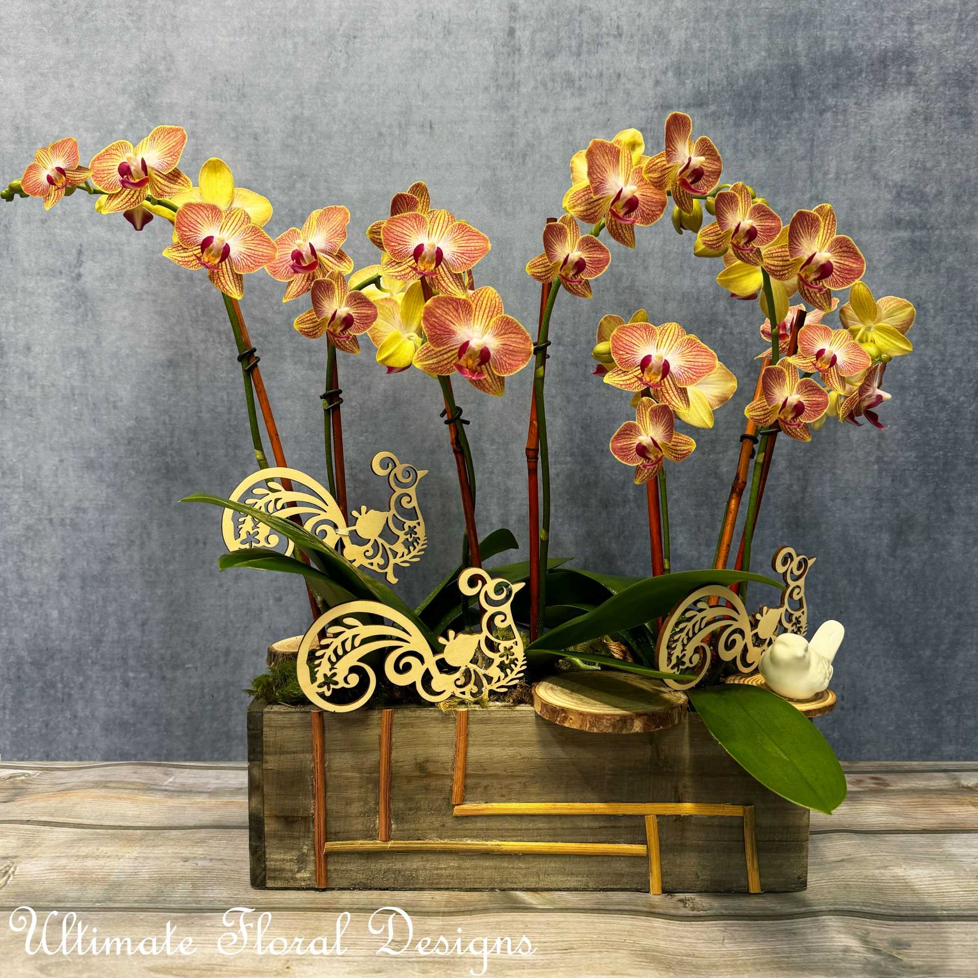 Orchid arrangement in a wooden box with decorative cutouts