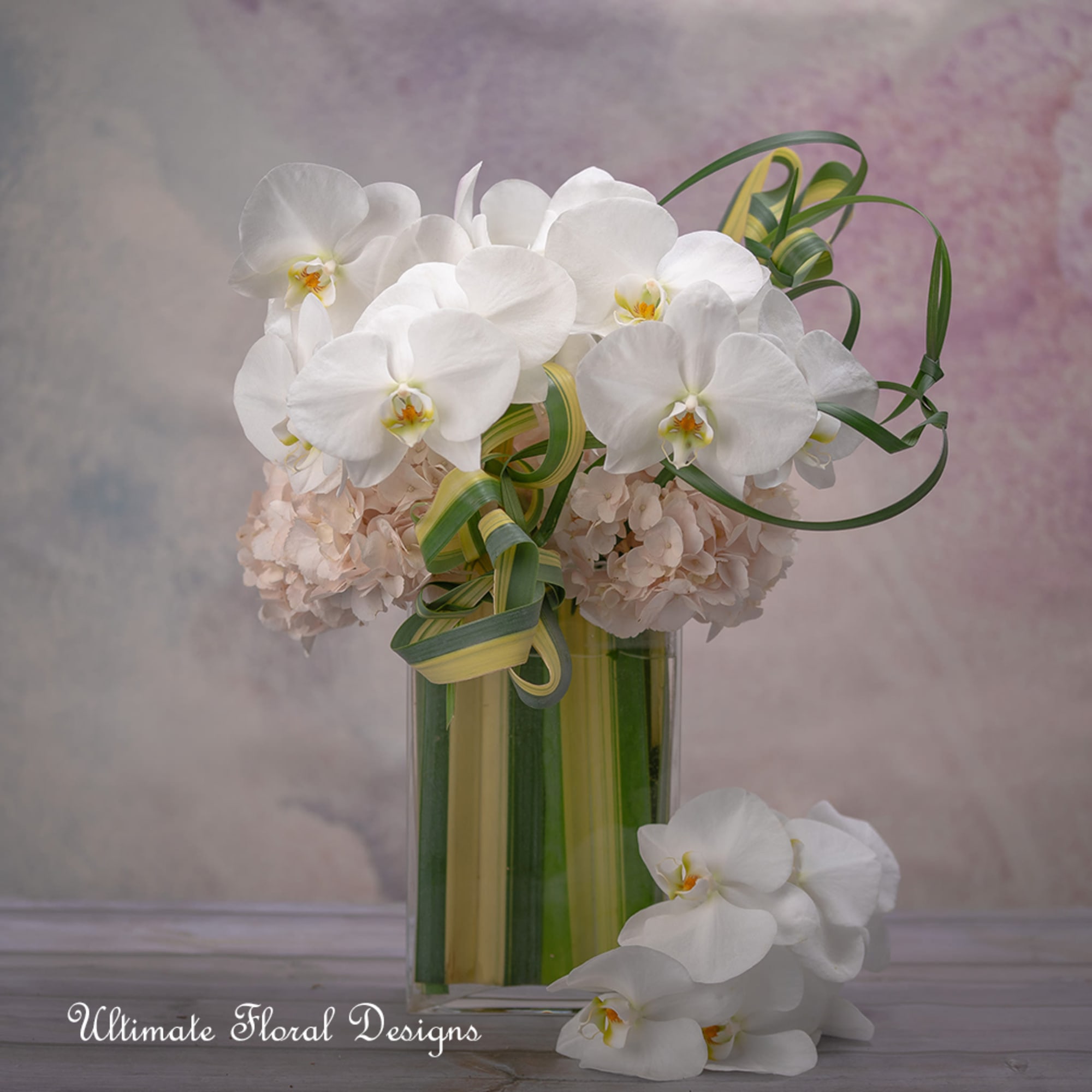 White orchids and pale hydrangeas in a tall glass vase with green ribbon loops