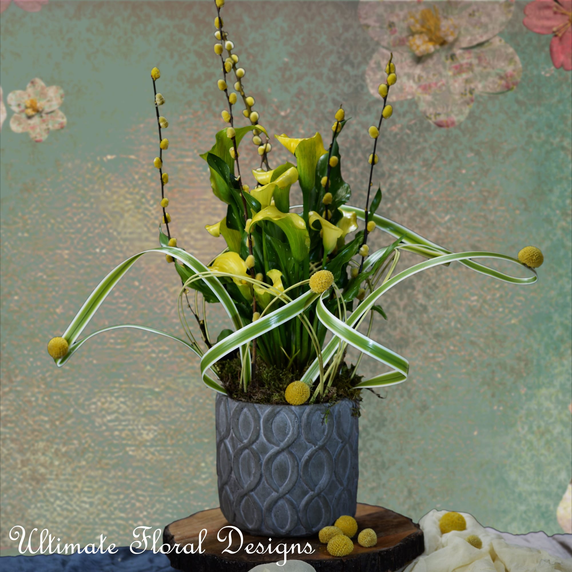 Yellow calla lilies in a textured gray vase with looping variegated leaves