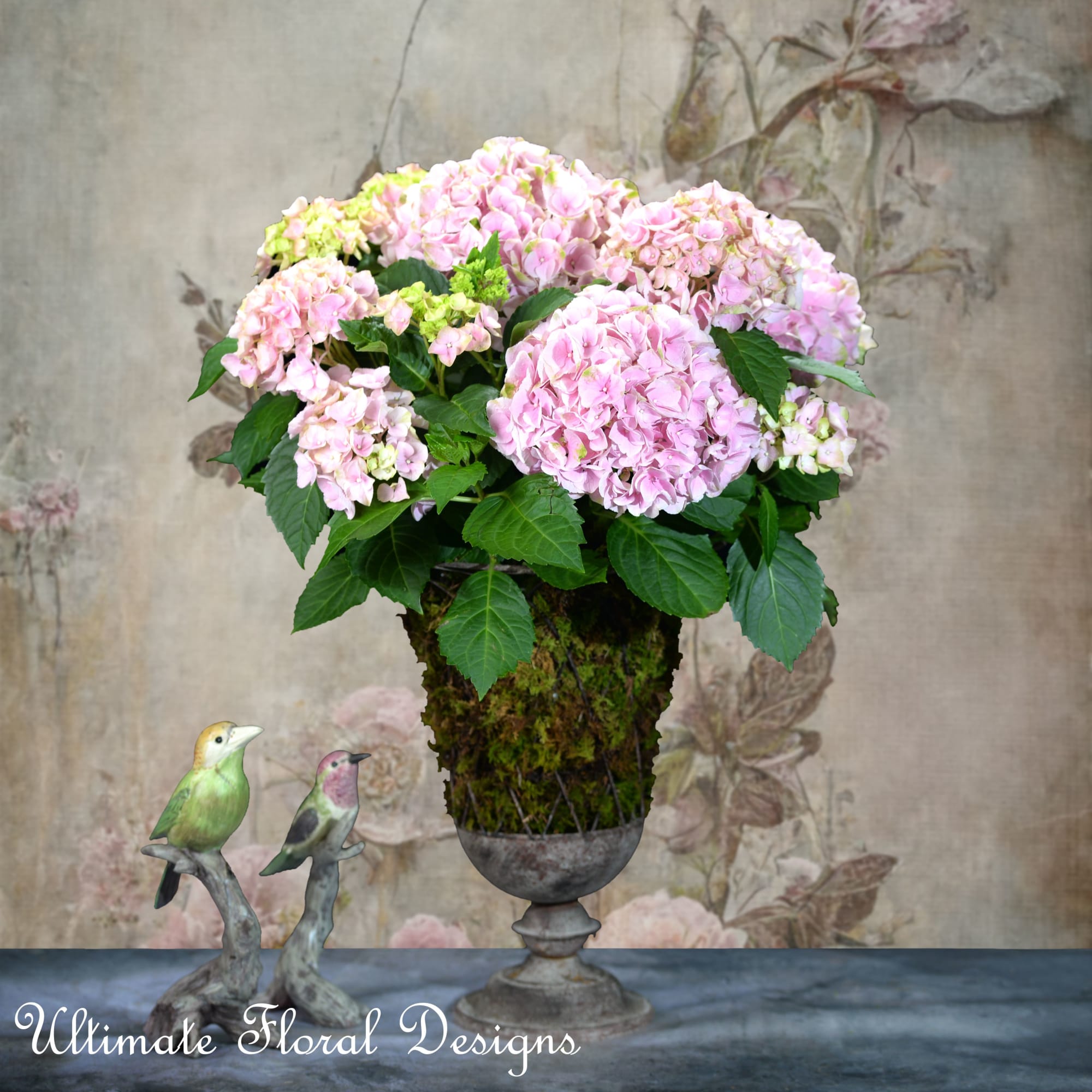 Enchanted Hydrangea Garden