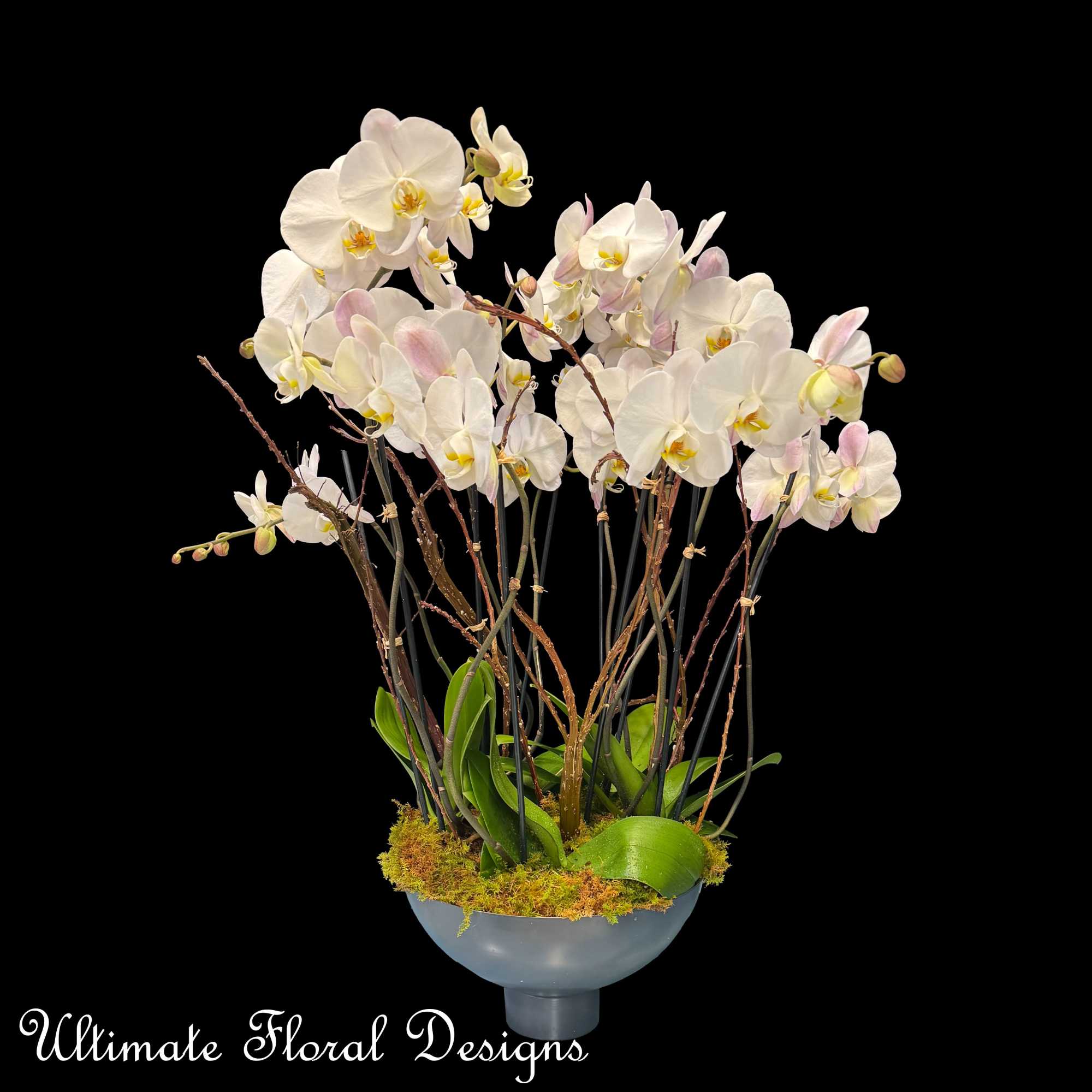 White orchid arrangement in a gray bowl vase with moss