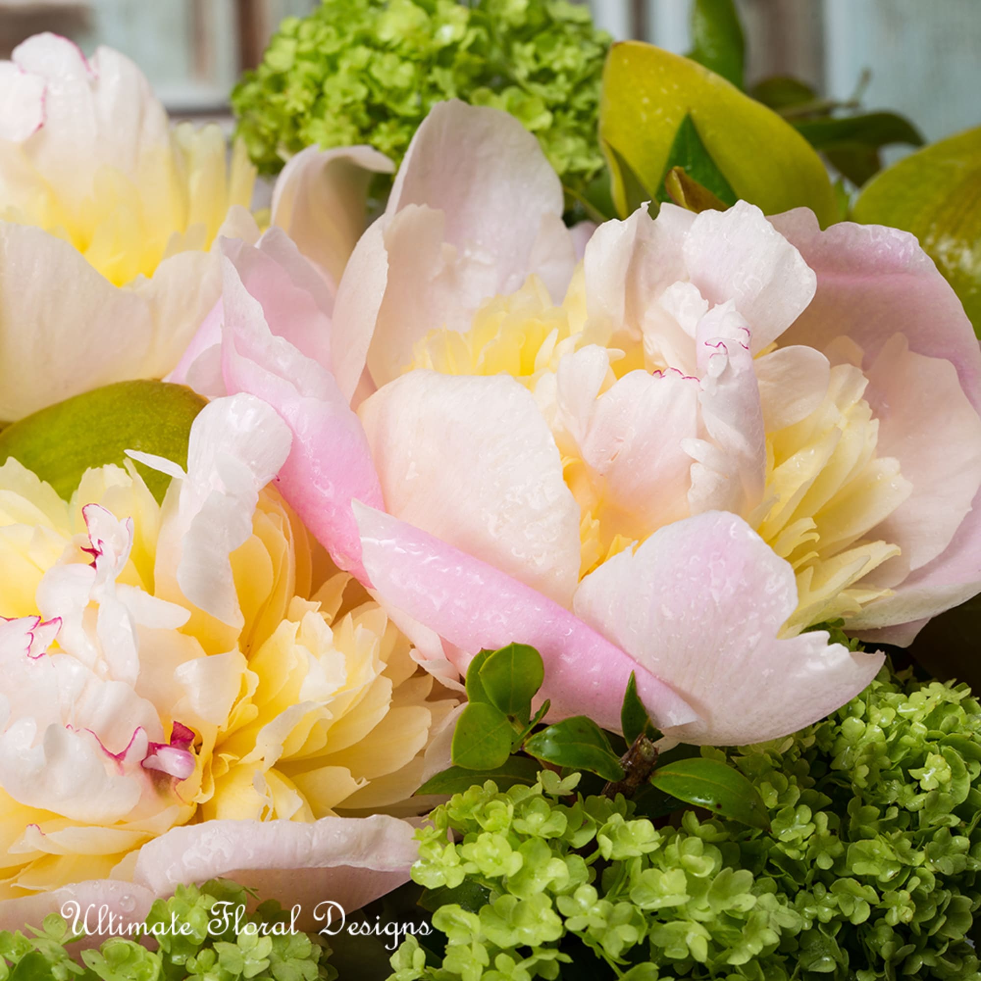 Close-up bouquet of pale pink and yellow peonies with green filler