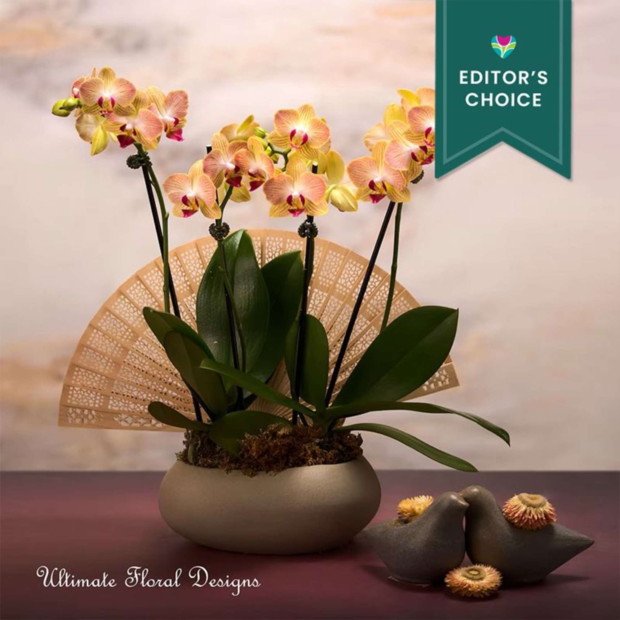 Potted orchid arrangement with peach-yellow blooms and a decorative fan backdrop