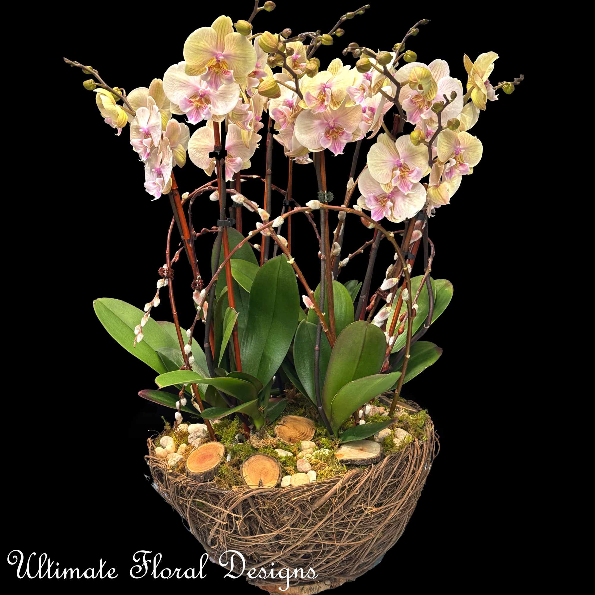 Arrangement of pale yellow and pink Phalaenopsis orchids in a round twig basket planter with natural accents.