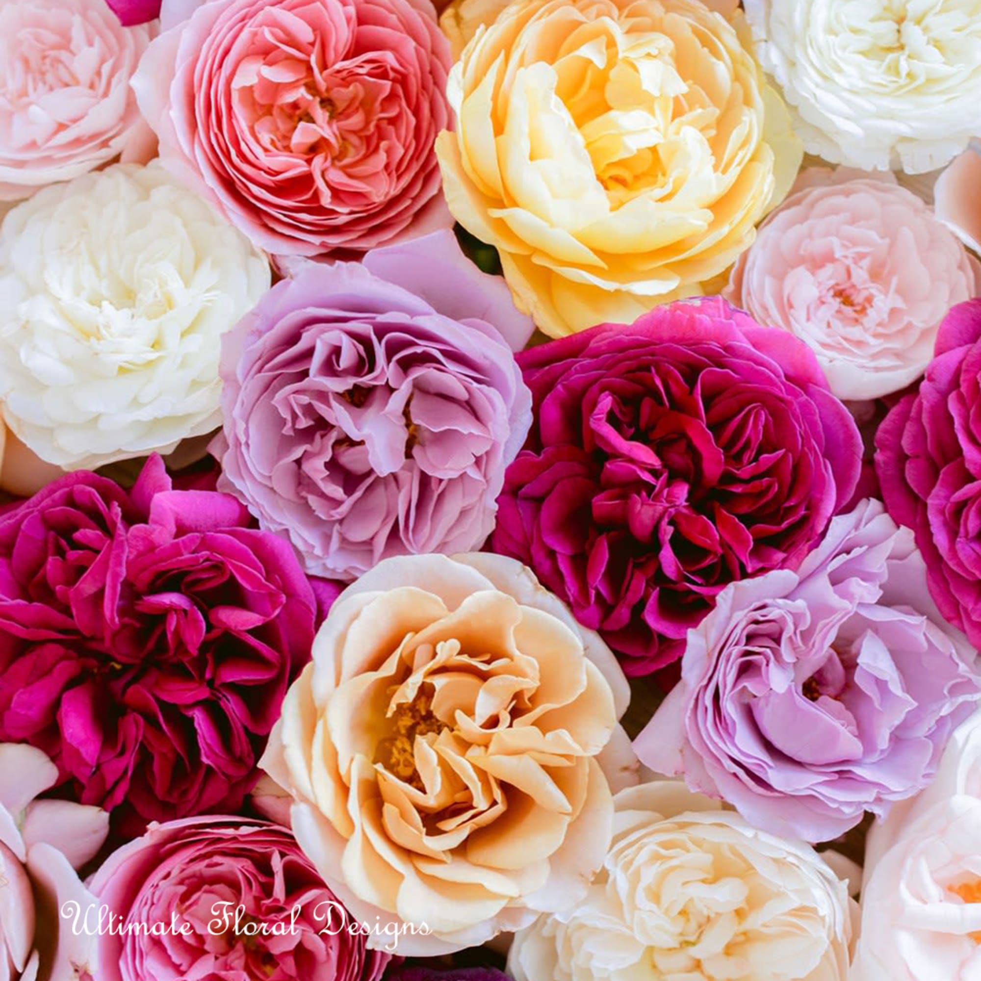 Close-up of tightly packed roses in pink, peach, lavender, and white
