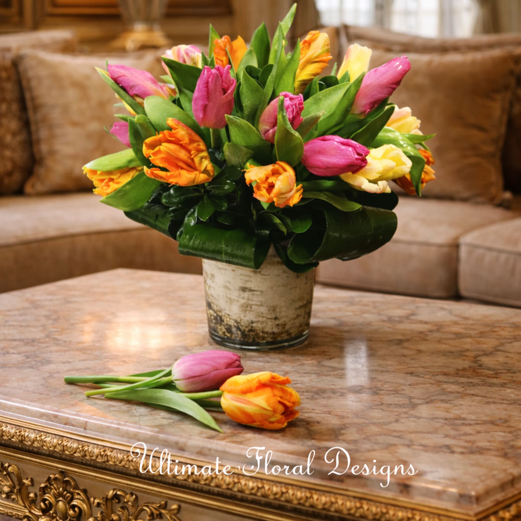 Spring Tulip Burst