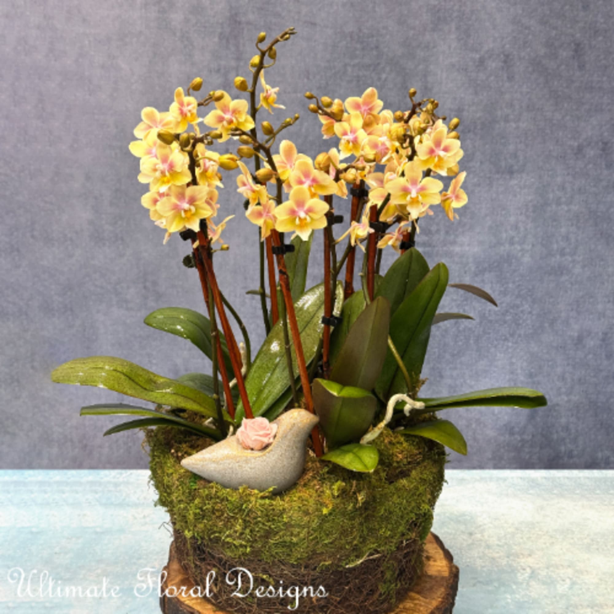 Yellow orchid arrangement in a moss-covered container with a small bird figurine