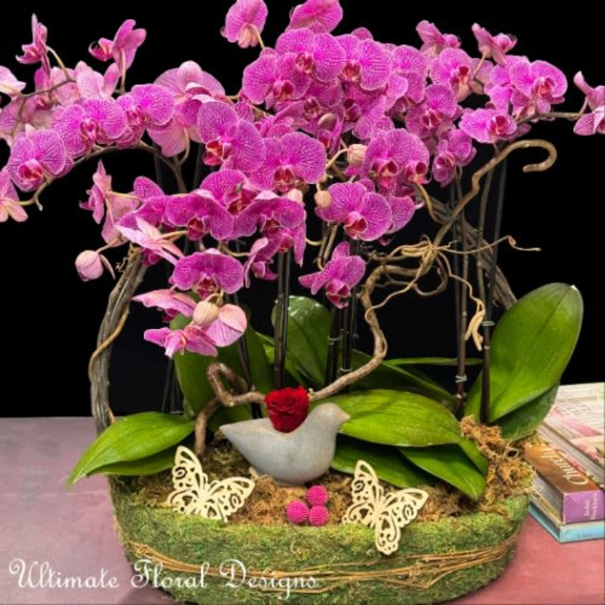 Enchanted Aviary Orchid Display