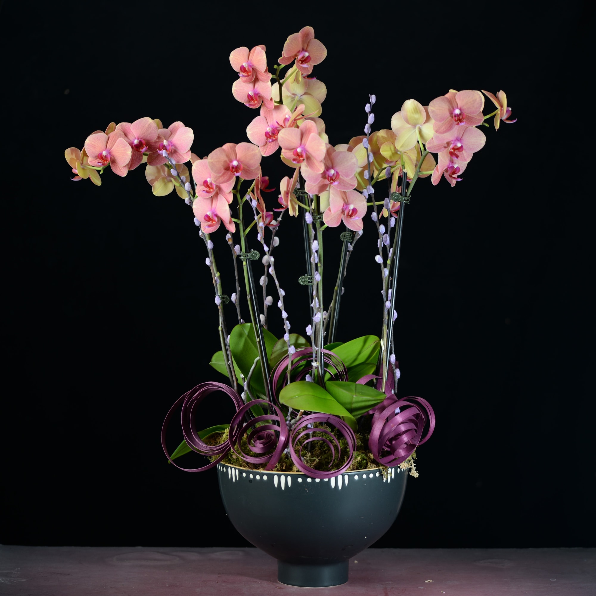 Pink orchid arrangement in a black vase with purple ribbon curls