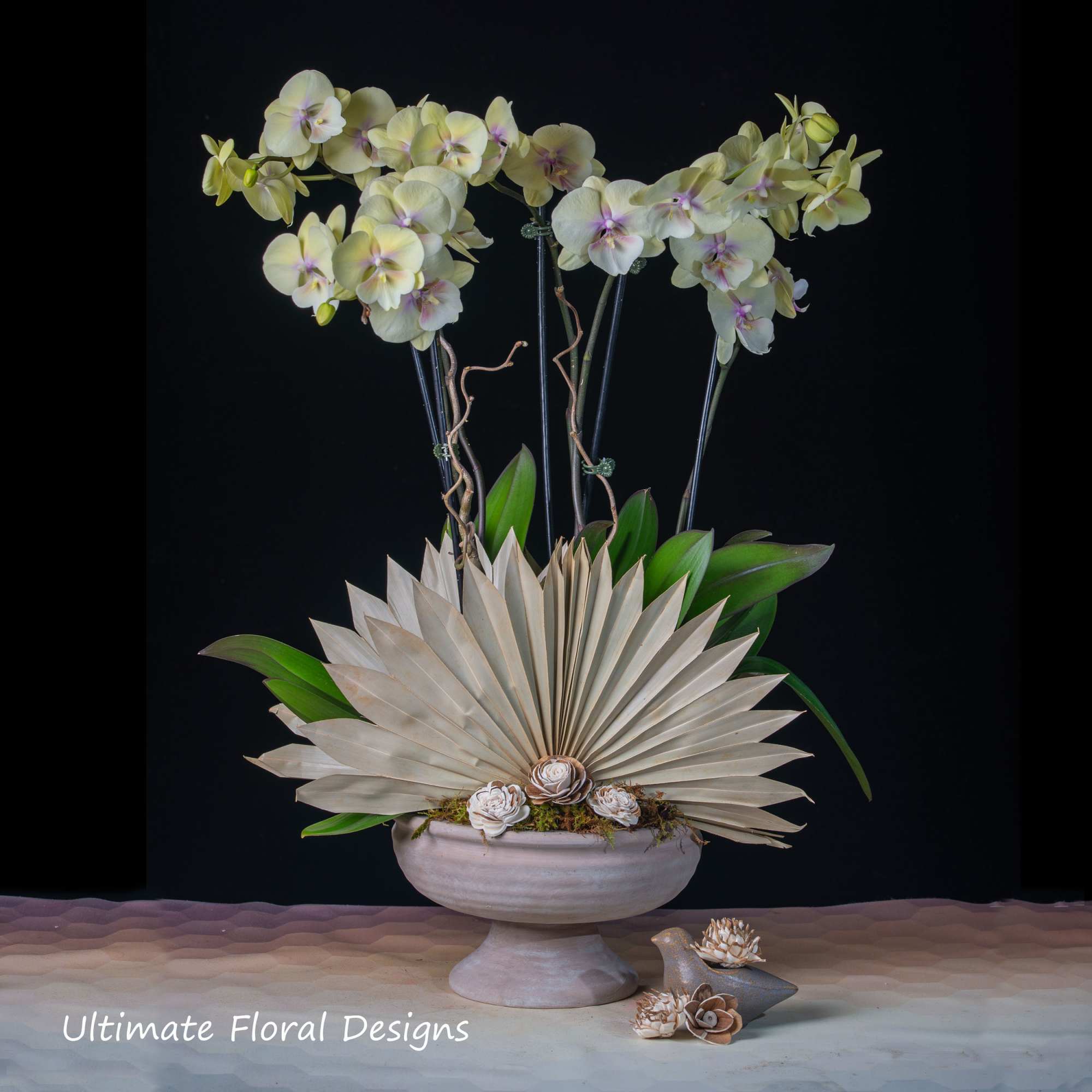 White orchids in a pedestal bowl with a fan-shaped dried leaf accent