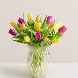 Colorful tulips arranged in a clear glass vase