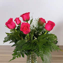 Half Dozen Roses
