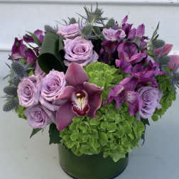 Lavender Mint
