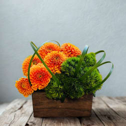Orange flowers arranged with bright green moss in a wooden box