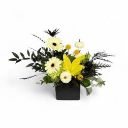 Yellow gerbera daisies and lilies in a black square vase with small pumpkins