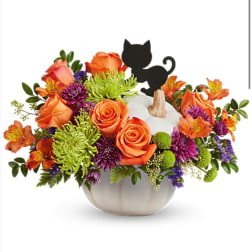 Orange and purple floral arrangement in a white pumpkin container with a black cat pick