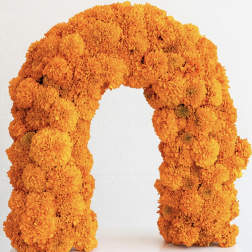 Orange marigold floral arch on a white background