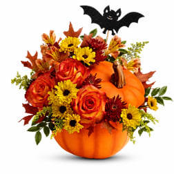 Pumpkin arrangement with roses and daisies, topped with a bat decoration