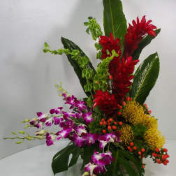 Tropical arrangement with red ginger, purple orchids, and yellow pincushion blooms