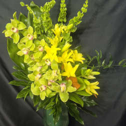 Cymbidium Orchid Breeze