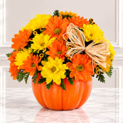 Orange and yellow daisy arrangement in a pumpkin-shaped container with a raffia bow
