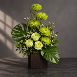 Green chrysanthemum and white rose arrangement in a dark square vase