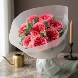 Bouquet of pink roses wrapped in white paper
