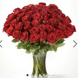 50 Red Roses
