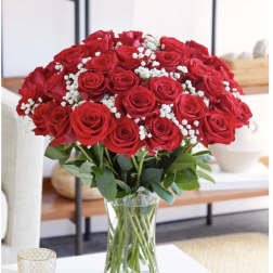 24 Red Roses/babybreath