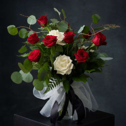 Midnight & Roses