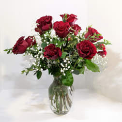 Red roses arranged in a clear glass vase with small white filler flowers.