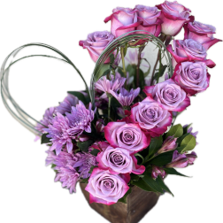 Lavender Love
