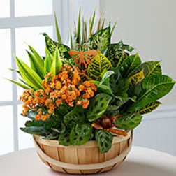 Orange flowers in a wooden basket with tropical leaves