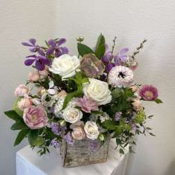 Garden collection