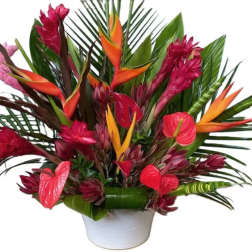 Tropical Delight