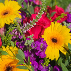 Bright mixed bouquet with yellow gerbera daisies, red roses, and purple flowers