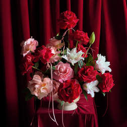 Red and pink roses arranged in a white vase against a burgundy backdrop