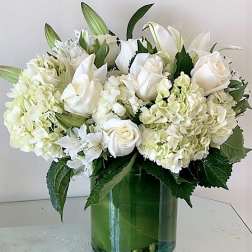 Simply Whites