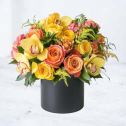 Bright Abundance