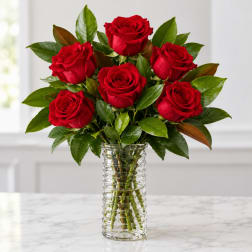Six red roses in a clear glass vase