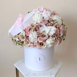 Pink Beauty